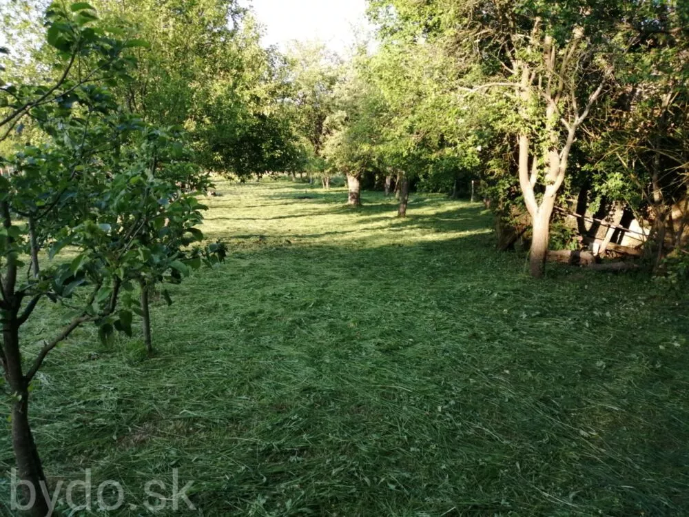 Chata a chalupa na predaj, Kostolné, 84844_10