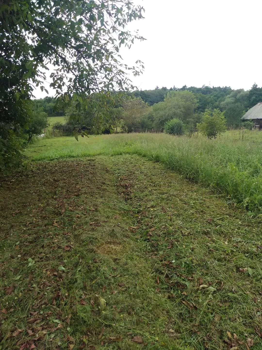 Pozemok pre rod. domy na predaj 12m2, 11500, Nižná Sitnica, 89177_3