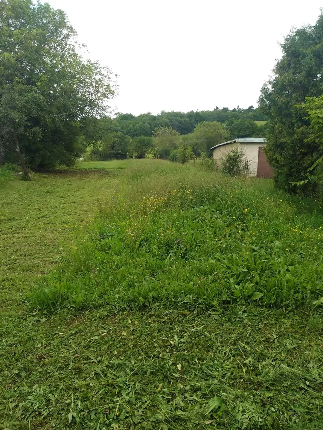 Pozemok pre rod. domy na predaj 12m2, 11500, Nižná Sitnica, 89177_5