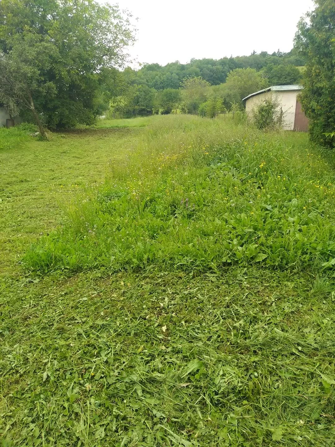 Pozemok pre rod. domy na predaj 12m2, 11500, Nižná Sitnica, 89177_6