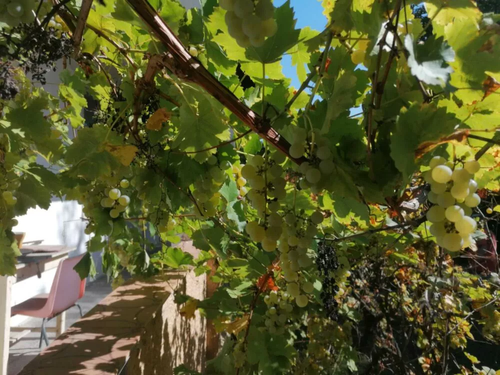 Rodinný dom na predaj, Šahy, 91382_31