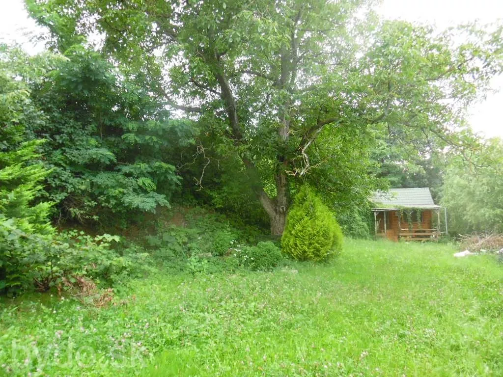 Buzica, rekreačný pozemok s chatkou, 91465_6