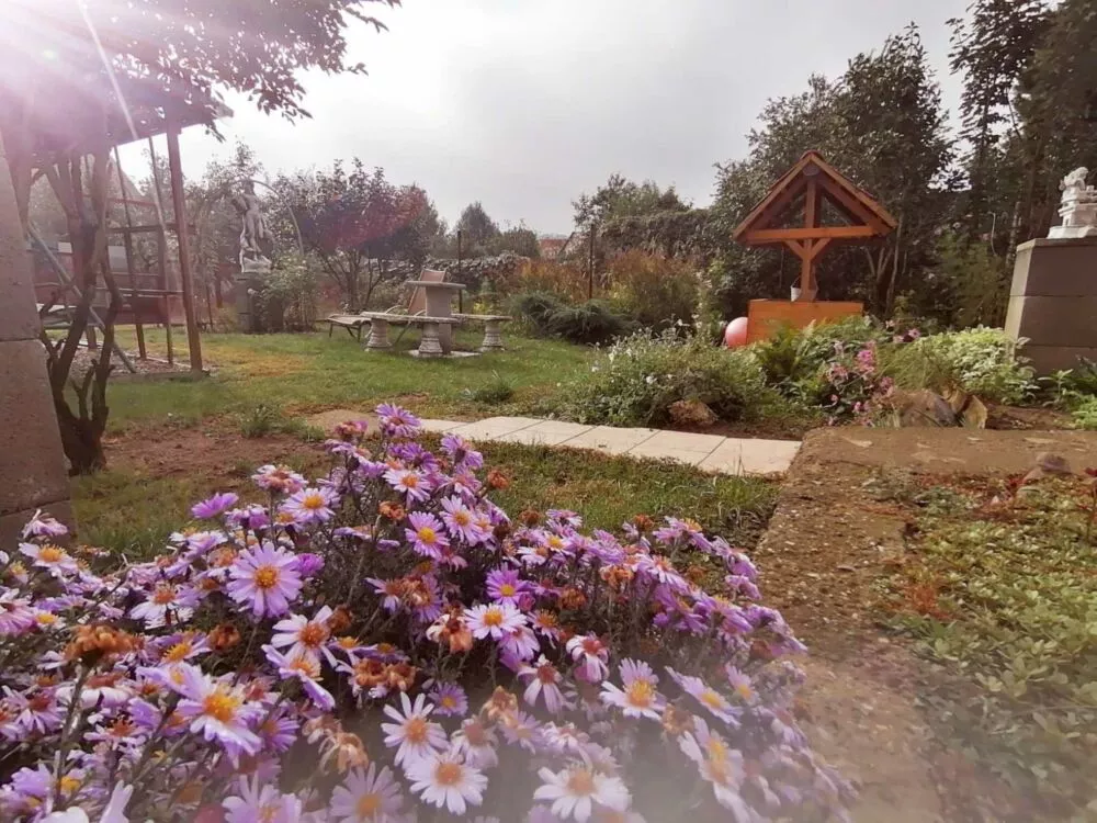 Rodinný dom na predaj, Šahy, 92300_4