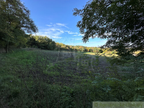 foto_pozemok_radava_20241011202433_967732.jpg
