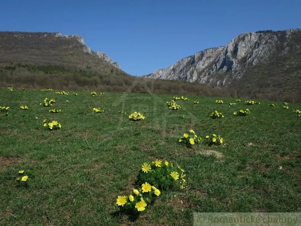 Chata a chalupa na predaj 25m2, Dvorníky - Včeláre, 75511_14