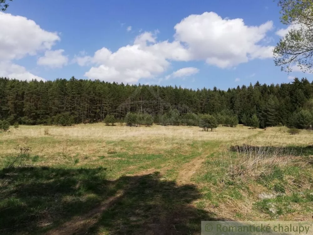 Lúka, pasienok na predaj 27500m2, Turčianske Teplice, 75530_2