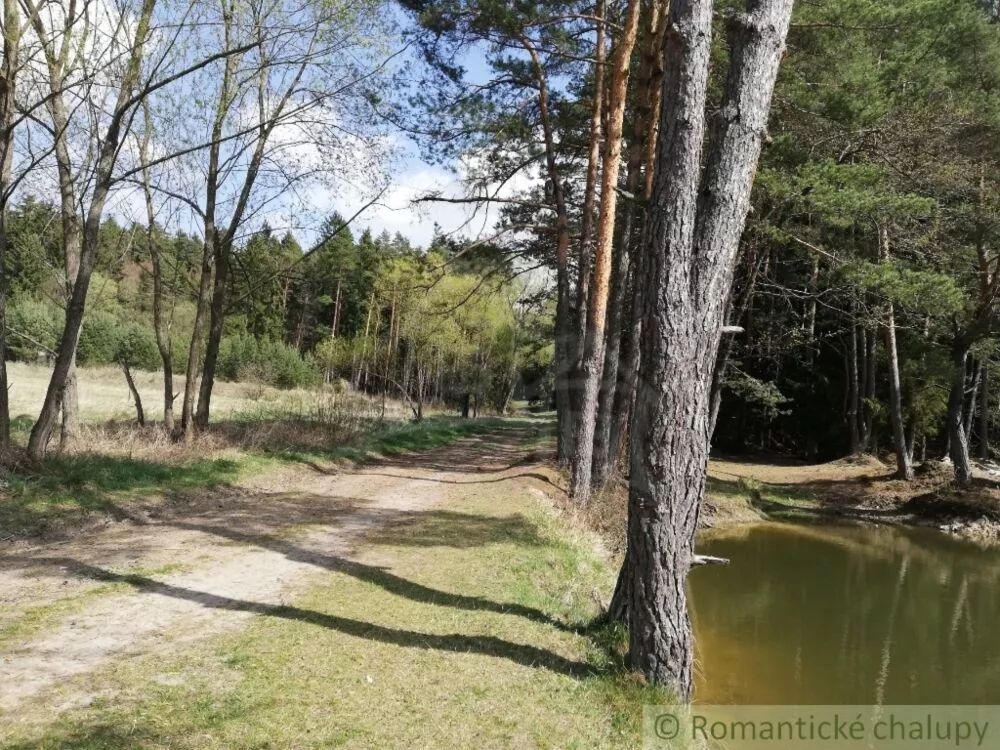 Lúka, pasienok na predaj 27500m2, Turčianske Teplice, 75530_5