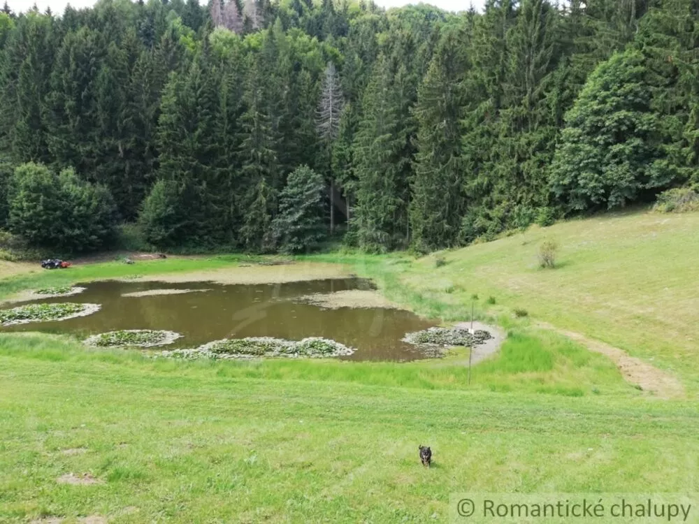 Lúka, pasienok na predaj 1749m2, Donovaly, 75555_2