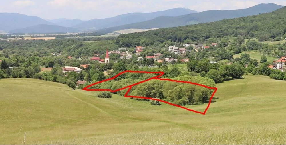 Pozemok pre rod. domy na predaj 5196m2, --, Drnava, 102846_0