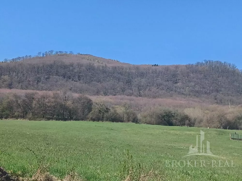 Pozemok pre rod. domy na predaj 4300m2, Slanec, 102432_1