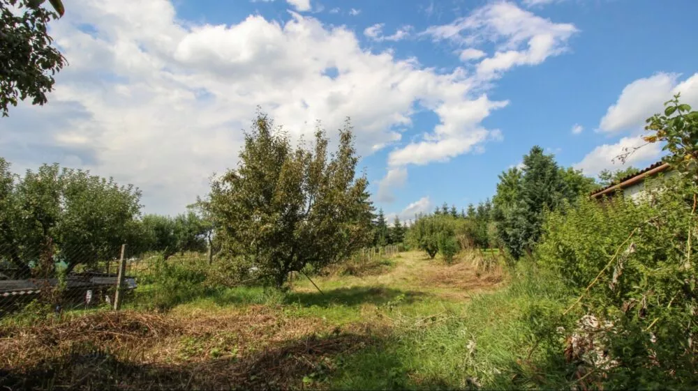 Rodinný dom na predaj 110m2, Rozhanovce, 106460_3