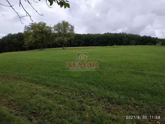 Vidiecky dom na predaj 297m2, Točnica, 107321_14