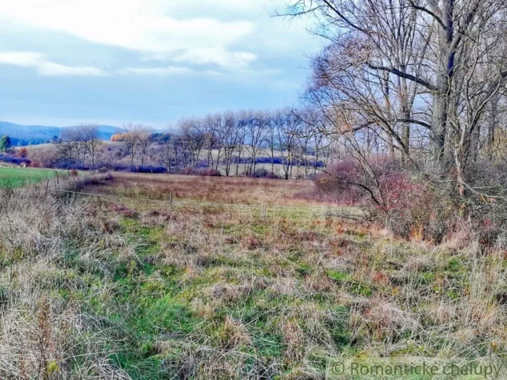 Lúka, pasienok na predaj 5400m2, Kováčová, 102094_4