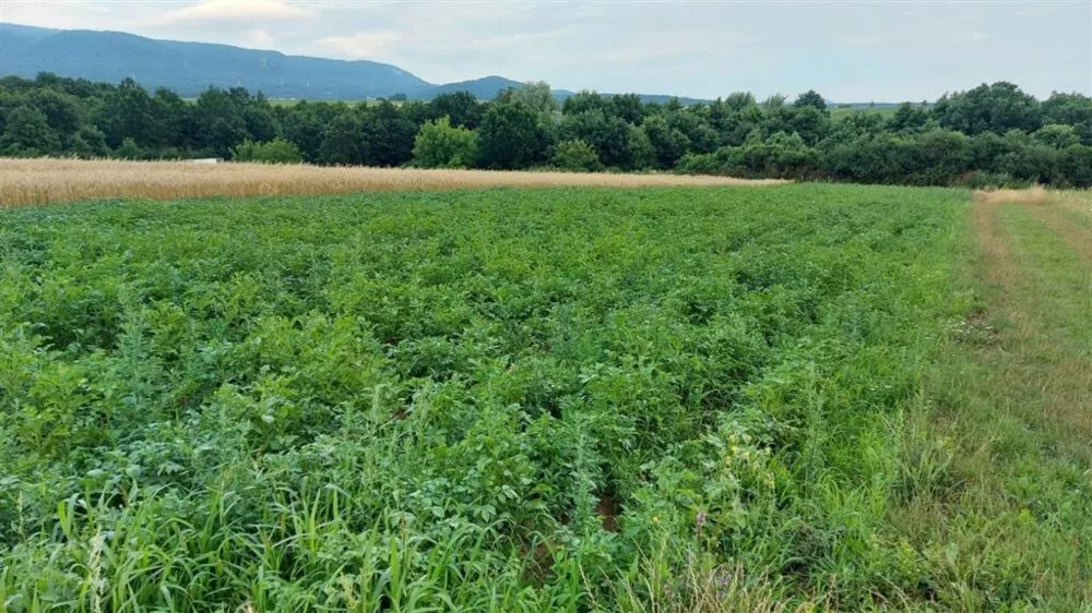 Záhrada na predaj 1m2, Sekčovská, Prešov, 111689_2