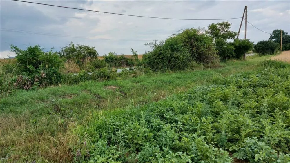Záhrada na predaj 1m2, Sekčovská, Prešov, 111689_4