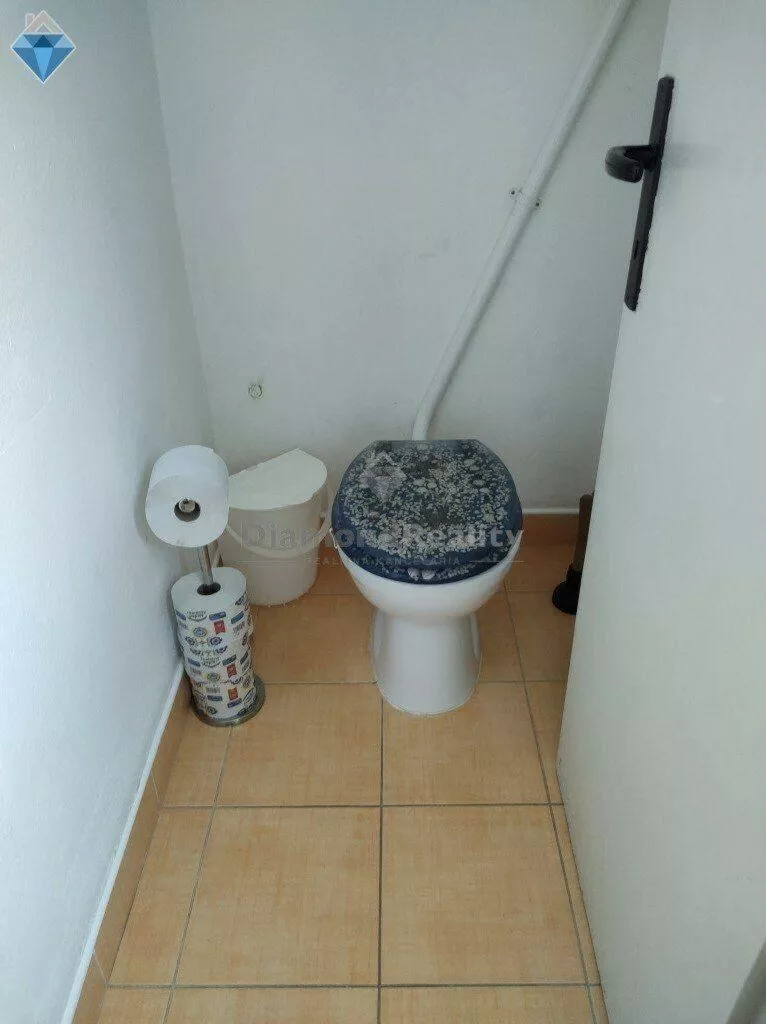 Rodinný dom na prenájom 250m2, nemá, Lužianky, 111719_11