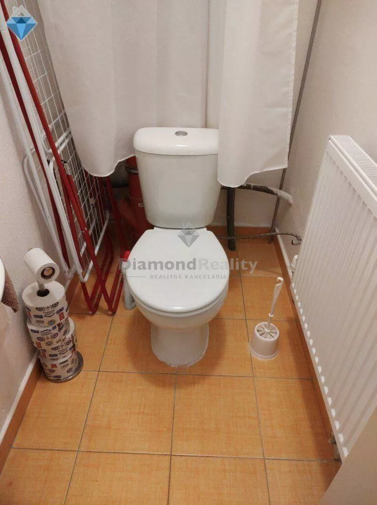 Rodinný dom na prenájom 250m2, nemá, Lužianky, 111719_12