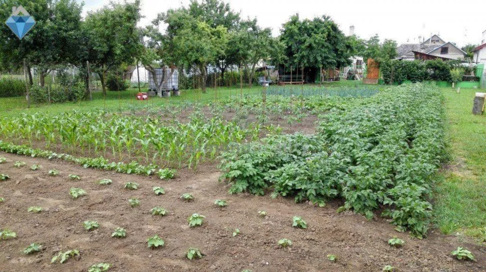 Rodinný dom na predaj 300m2, Palín, 111767_12