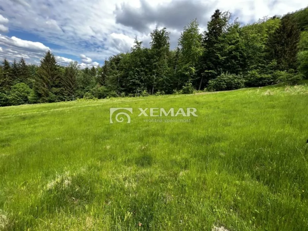 Lúka, pasienok na predaj 4991m2, Malachovská cesta, Banská Bystrica, 113956_1