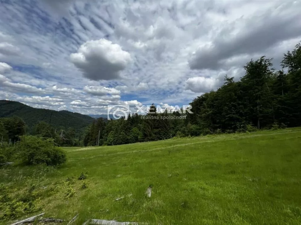 Lúka, pasienok na predaj 4991m2, Malachovská cesta, Banská Bystrica, 113956_2