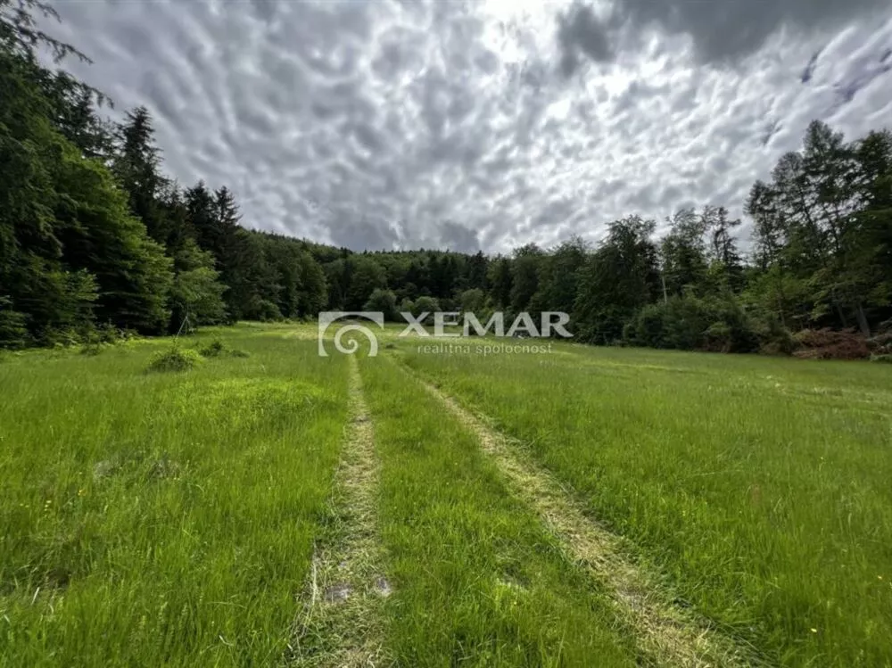 Lúka, pasienok na predaj 4991m2, Malachovská cesta, Banská Bystrica, 113956_5