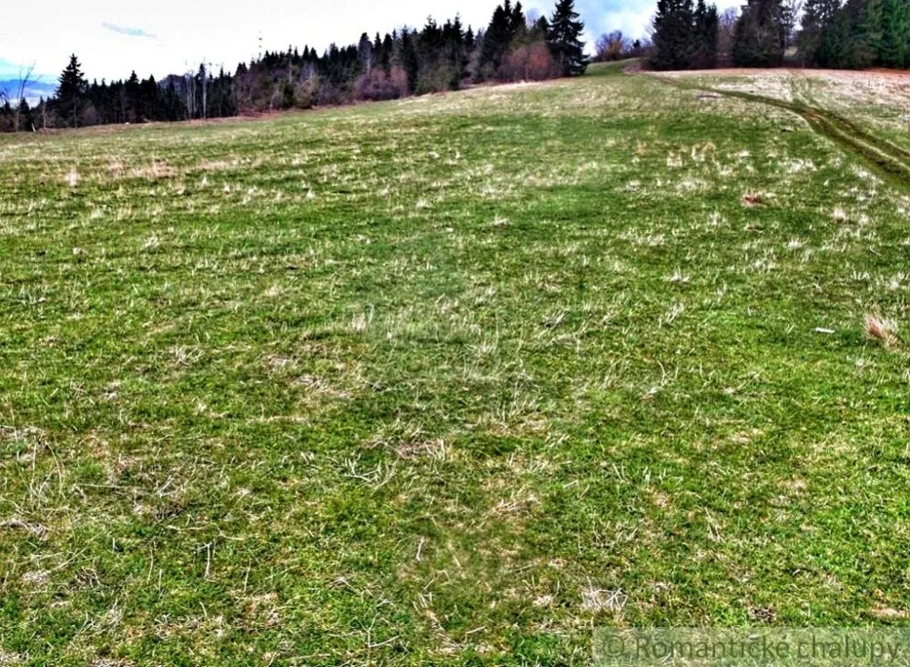 Lúka, pasienok na predaj 25800m2, Valaská, 115368_4