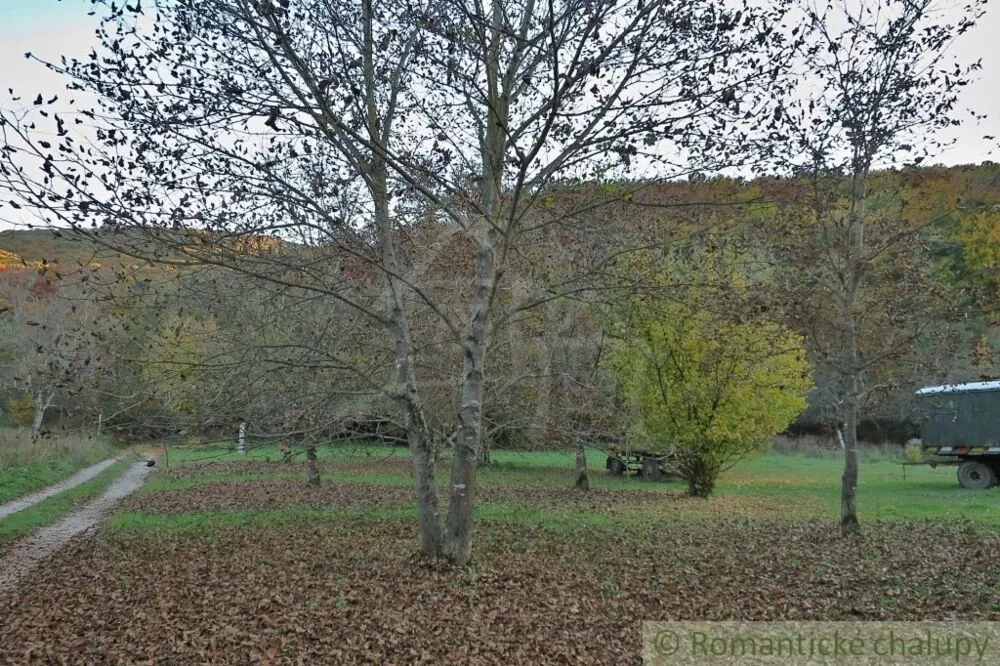 Záhrada na predaj 2830m2, Silická Jablonica, 74886_1