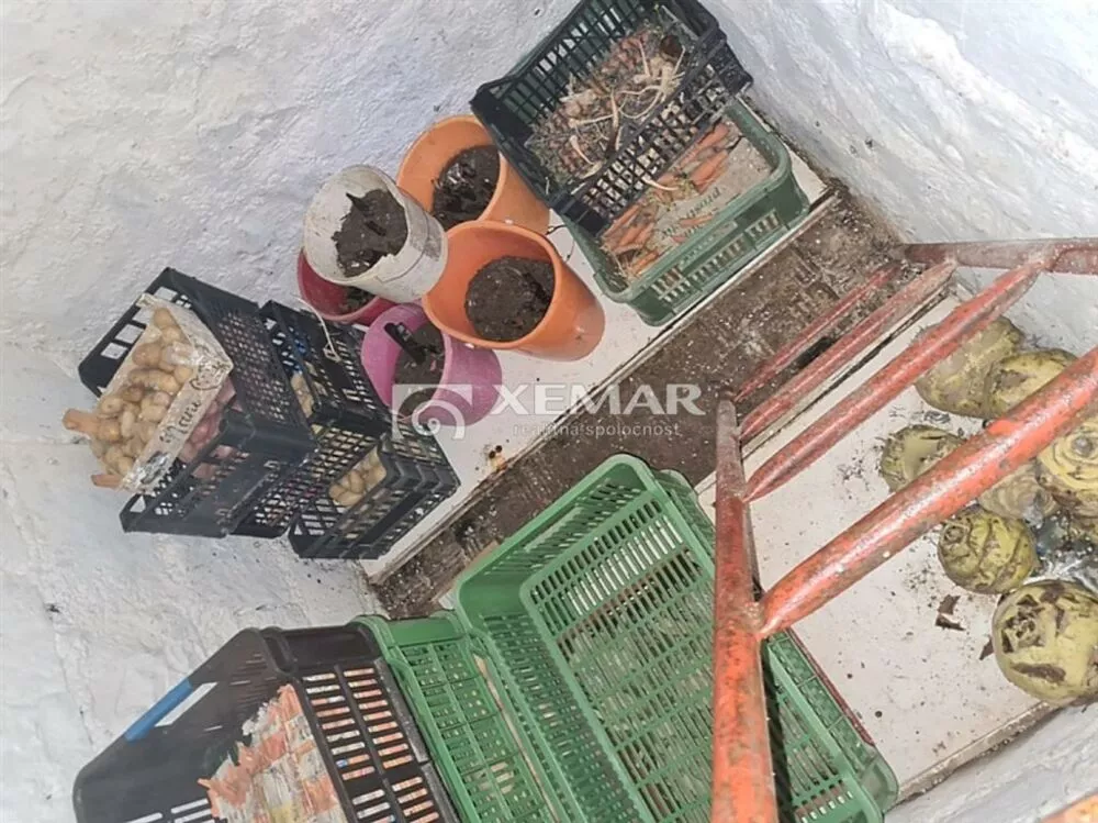 Záhradná chatka na predaj 404m2, Novosady, Detva, 120838_13