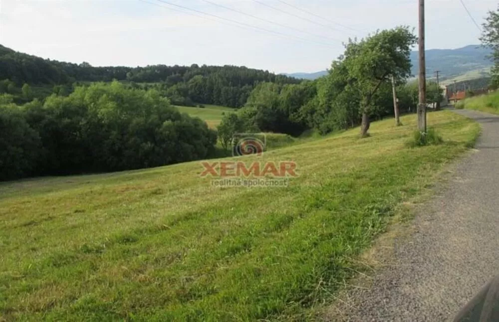 Rodinný dom na predaj 2440m2, Detva, 113004_3