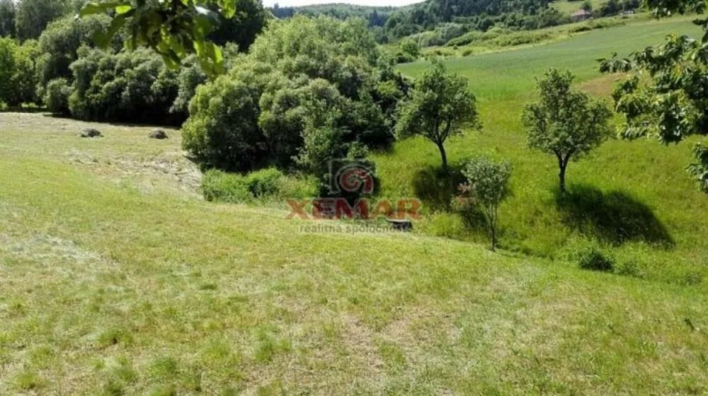 Rodinný dom na predaj 2440m2, Detva, 113004_6