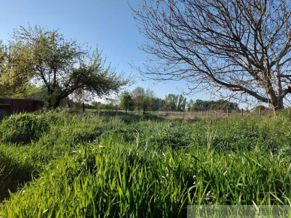 Vidiecky dom na predaj 200m2, Búč, 103784_24