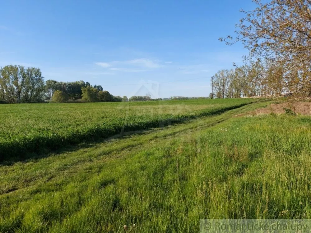 Vidiecky dom na predaj 200m2, Búč, 103784_25