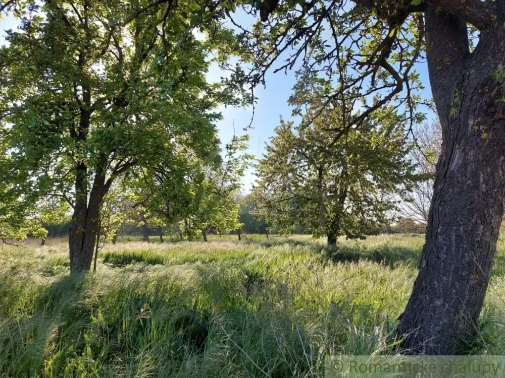 Vidiecky dom na predaj 200m2, Búč, 103784_27