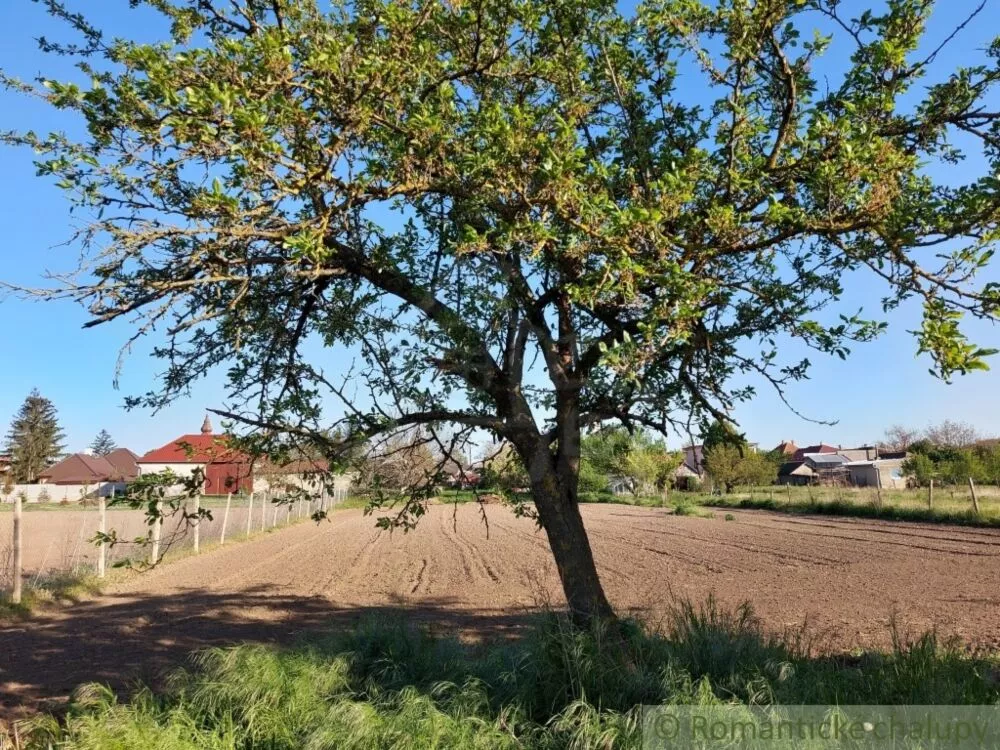 Vidiecky dom na predaj 200m2, Búč, 103784_31