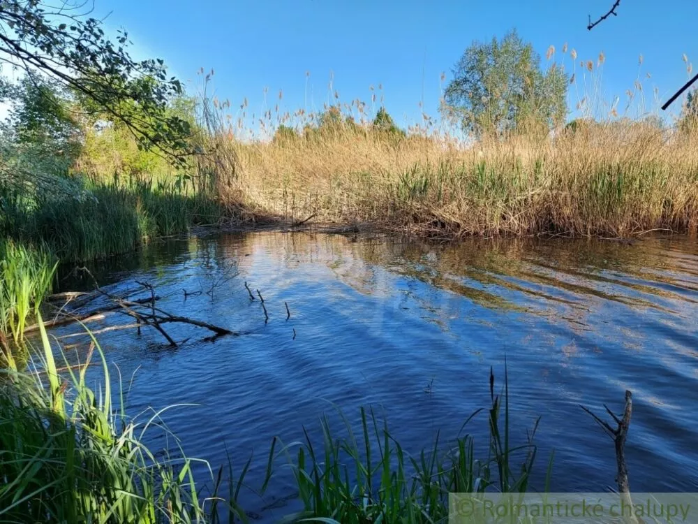 Vidiecky dom na predaj 200m2, Búč, 103784_33