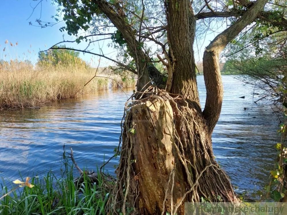 Vidiecky dom na predaj 200m2, Búč, 103784_37