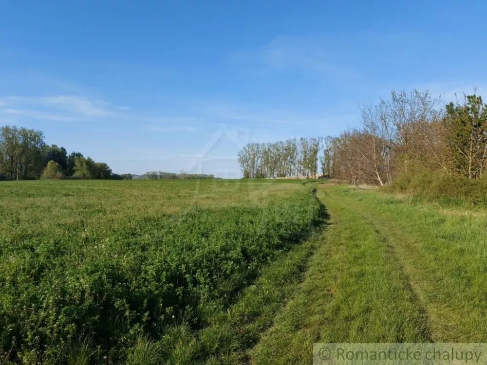 Vidiecky dom na predaj 200m2, Búč, 103784_39