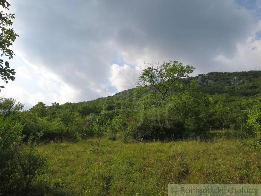 Záhrada na predaj 1751m2, Hrhov, 112334_6