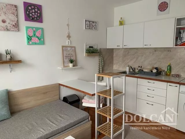 Garsonka na prenájom 21m2, Benkova, Nitra, 127109_5