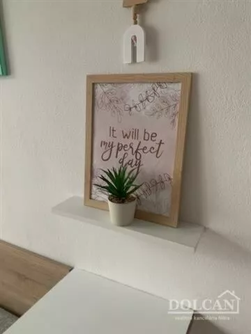 Garsonka na prenájom 21m2, Benkova, Nitra, 127109_6