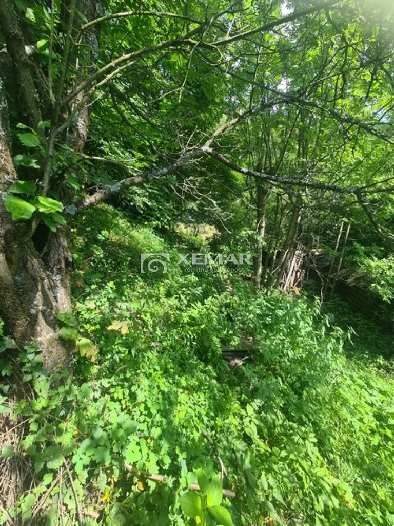 Rodinný dom na predaj 841m2, Špania Dolina, 127593_7