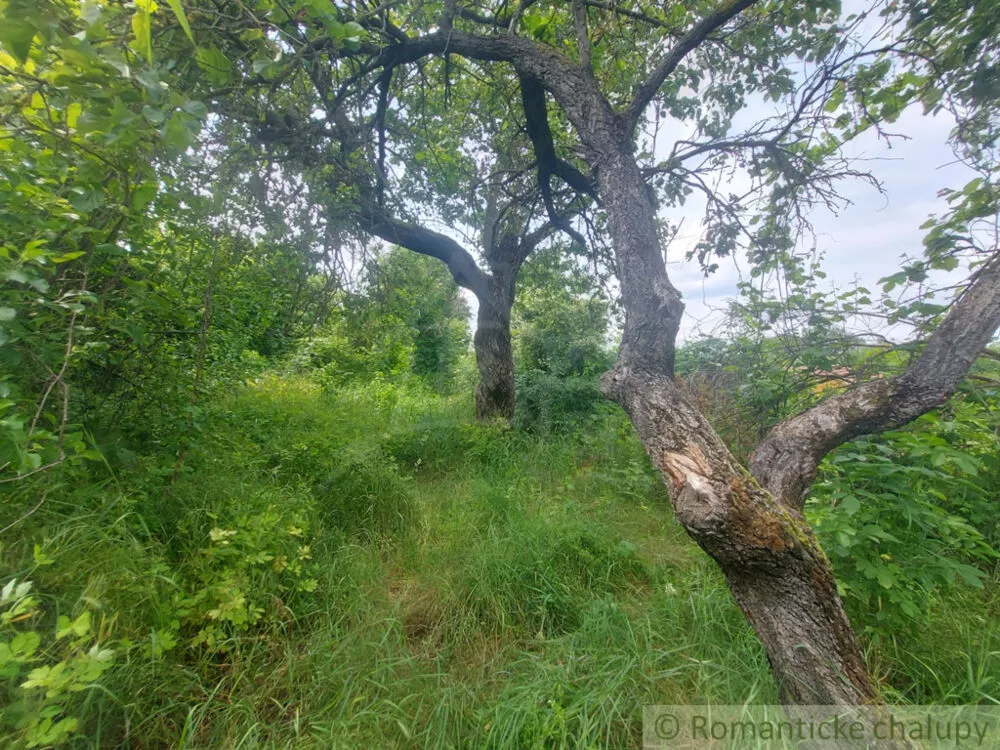 Záhrada na predaj 1016m2, Moča, 131756_0