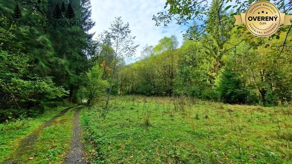 Komerčná zóna na predaj 2849m2, Bystrá, Bystrá, 131899_3