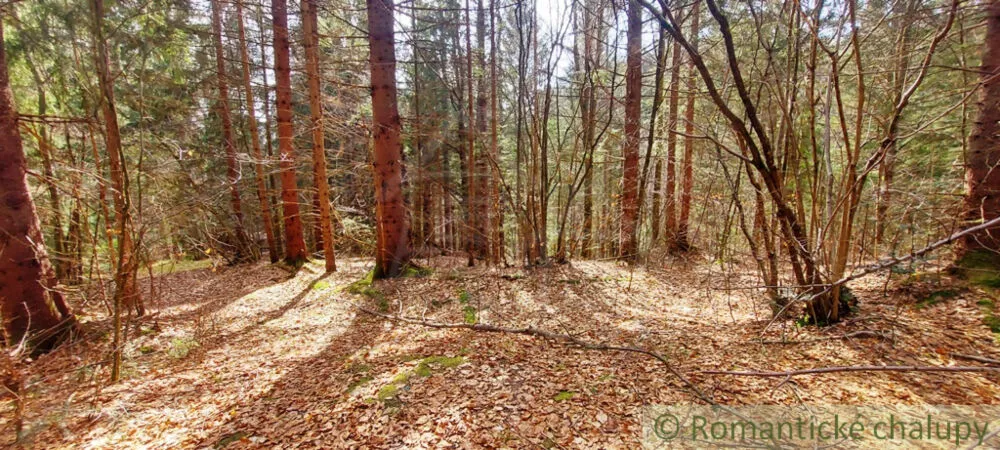 Rekreačný pozemok na predaj 3600m2, Horná Lehota, 137386_1