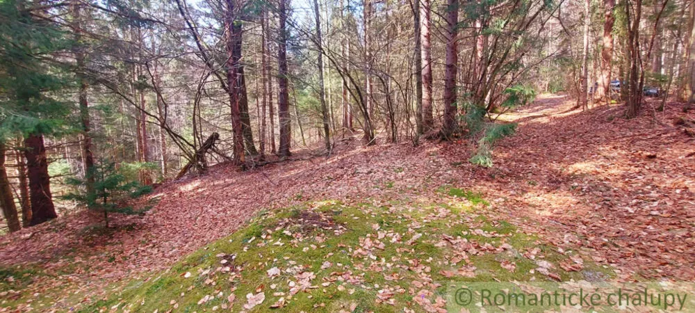 Rekreačný pozemok na predaj 3600m2, Horná Lehota, 137386_3