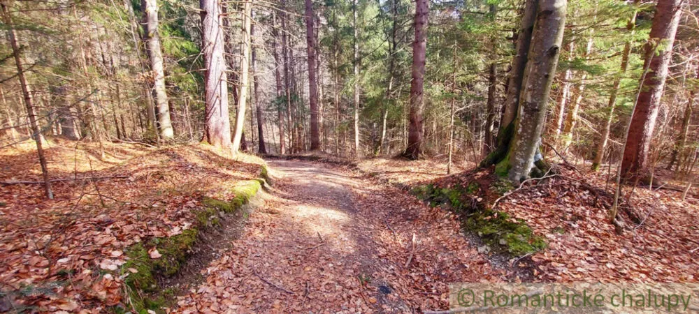 Rekreačný pozemok na predaj 3600m2, Horná Lehota, 137386_7