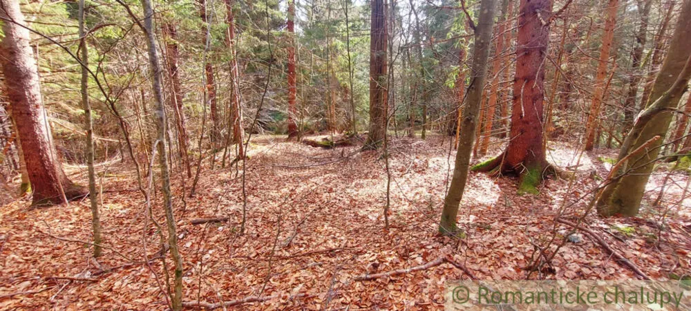 Rekreačný pozemok na predaj 3600m2, Horná Lehota, 137386_8