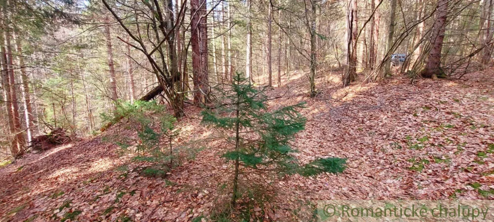 Rekreačný pozemok na predaj 3600m2, Horná Lehota, 137386_11