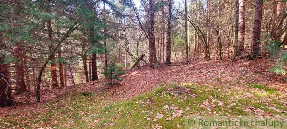 Rekreačný pozemok na predaj 3600m2, Horná Lehota, 137386_12