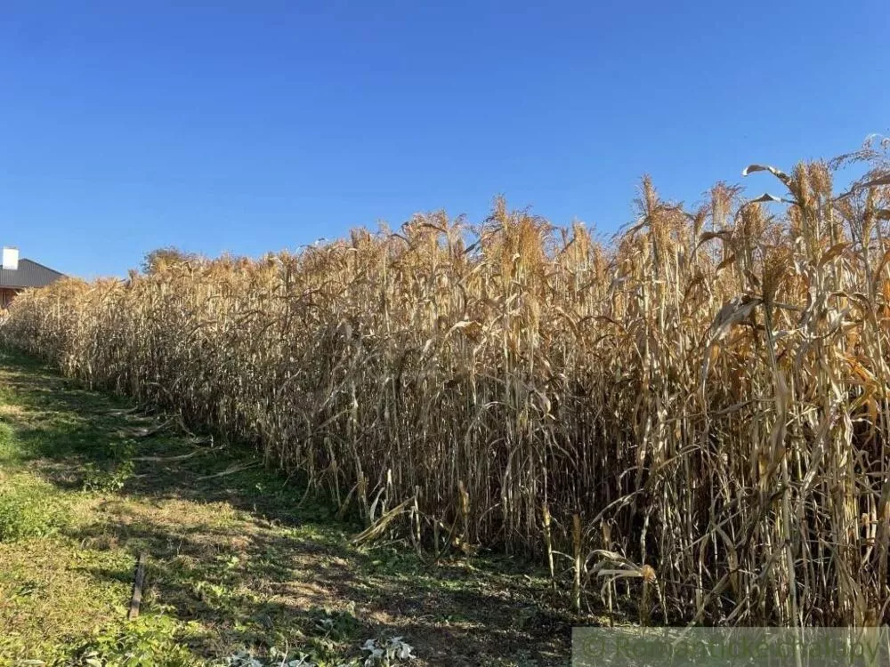 Rodinný dom na predaj 140m2, Debraď, 111321_27